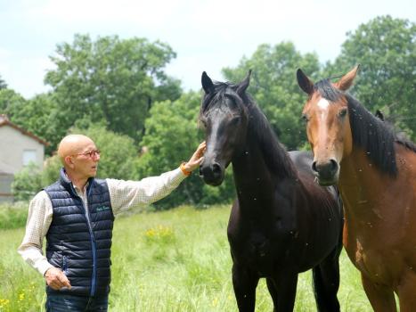 Paul et ses chevaux